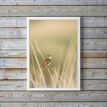 Quadro Decorativo Bege Passarinho Natureza 33X24Cm - Vidro