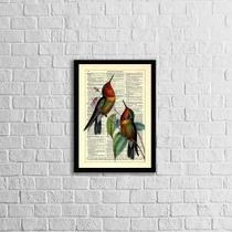 Quadro Decorativo Beija Flores 33X24Cm Moldura Preta Vidro