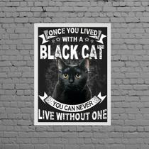 Quadro Decorativo Black Cat 33X24 - Com Vidro Moldura Branca