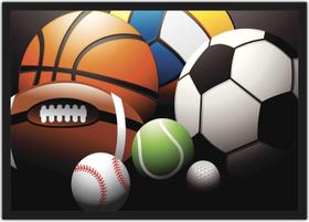 Quadro Decorativo Bolas Vários Esportes Educação Física Decorações Com Moldura - Vital Quadros