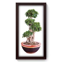 Quadro Decorativo - Bonsai - 19cm x 34cm - 281qddp