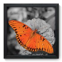 Quadro Decorativo - Borboleta - 33cm x 33cm - 200qdsp Quadro Decorativo - Borboleta - 33cm x 33cm - 200qdsp