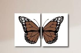 Quadro Decorativo Borboleta Asas Marrom Para Sala Quarto Kit 2 peças 40x60 Grande