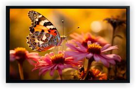 Quadro Decorativo Borboleta Colorida Salas Tela Canvas Premium GG4