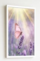Quadro Decorativo Borboleta Rosa Raios - 70x50cm Quadro Decorativo Borboleta Rosa Raios - 70x50cm