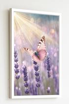Quadro Decorativo Borboleta Rosa Raios Flores - 70X50Cm