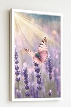 Quadro Decorativo Borboleta Rosa Raios Flores - 70x50cm