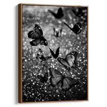 Quadro decorativo Borboletas Encantadas no Brilho Estelar - Art Canvas