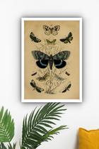 Quadro Decorativo Borboletas Retrô - 70X50Cm