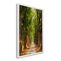 Quadro Decorativo Bosque Natureza com 1 Tela 50x75cm ou 60x90cm de Parede para Escritório Banheiro Hall