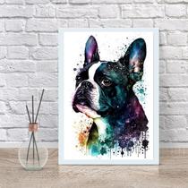 Quadro Decorativo Boston Terrier Aquarela 24x18cm - com vidro