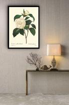 Quadro Decorativo Botânica Flor Camélia - 70x50cm