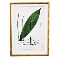 Quadro Decorativo Botânico Moldura de Bambu 4 Oenocarpus