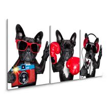 Quadro Decorativo Bulldog Francês Engraçado Sala Kit Quarto - IQ Quadros