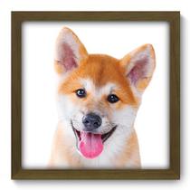 Quadro Decorativo - Cachorro - 33cm x 33cm - 188qdsm