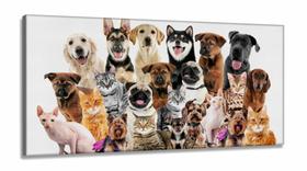 Quadro Decorativo Cães E Gatos Pets Hd em Tecido Canvas 130x60 Quarto Sala