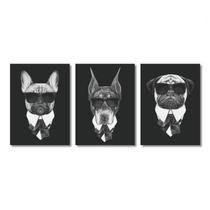 Quadro Decorativo Cães Máfia Pets 3 Peças 40x50cm