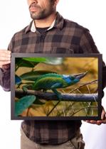 Quadro Decorativo Camaleão De Jackson Animal Selvagem Quadro Decorativo Camaleão De Jackson Animal Selvagem