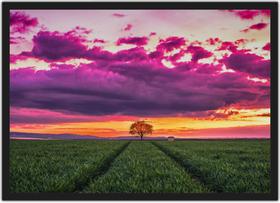 Quadro Decorativo Campo Bosque Árvore Paisagem Natureza Decorações Com Moldura