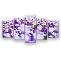 Quadro Decorativo Campo De Daisy