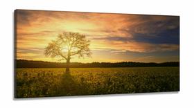 Quadro Decorativo Campo Natureza Árvore Nascer do Sol em Tecido Canvas 130x60