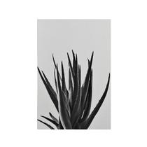 Quadro Decorativo Canvas Babosa Planta Minimalista Preto