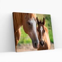 Quadro Decorativo Canvas Cavalo 50x70 - Foto Paulista