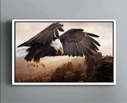 Quadro Decorativo Canvas Com Moldura Filete Ave Águia Animais Horizontes Quadro Decorativo Canvas Com Moldura Filete Ave Águia Animais Horizontes