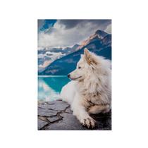 Quadro Decorativo Canvas Husky Siberiano Branco Lobo Gelo