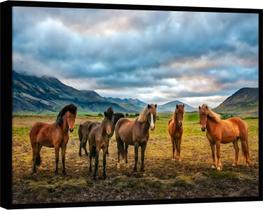 Quadro Decorativo Canvas Moldura Filete Animais Cavalo Natureza Montanhas Quadro Decorativo Canvas Moldura Filete Animais Cavalo Natureza Montanhas