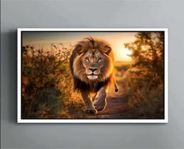 Quadro Decorativo Canvas Moldura Filete Leão Natureza Animais Paisagem