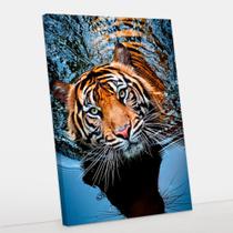 Quadro Decorativo Canvas Tigre 50x70 - Foto Paulista