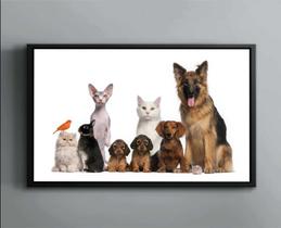 Quadro Decorativo Cão Gato Pet Shop Animais Tela Canvas Premium Salas G01