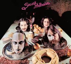 Quadro Decorativo Capa Album Secos E Molhados 1973 33x33cm