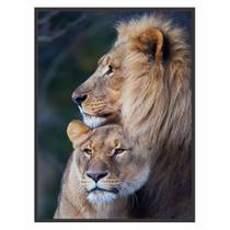 Quadro Decorativo Casal de Leões 90x60 para Sala Quarto Leão Quadro Decorativo Casal de Leões 90x60 para Sala Quarto Leão