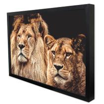 Quadro Decorativo Casal de Leões em Moldura Caixa Quadro Decorativo Casal de Leões em Moldura Caixa
