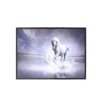 Quadro Decorativo Cavalo Branco 20X30Cm