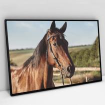 Quadro Decorativo Cavalo de Perfil em tela Canvas