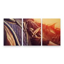Quadro Decorativo Cavalo Detalhe Cela Para Sala