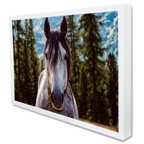 Quadro Decorativo Cavalo em Moldura Caixa