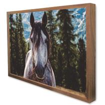 Quadro Decorativo Cavalo em Moldura Caixa