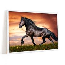 Quadro Decorativo Cavalo Natureza Por Do Sol Black 60x40cm