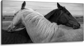 Quadro Decorativo Cavalo Preto e branco 130x60 em Tecido Canvas