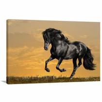 Quadro decorativo Cavalo Preto Para Sala Quarto Escritório