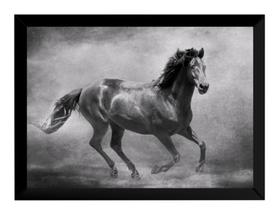 Quadro Decorativo Cavalo Selvagem Equino Paisagem