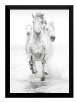 Quadro Decorativo Cavalos Brancos Natureza Animal Quadro Decorativo Cavalos Brancos Natureza Animal