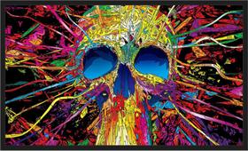 Quadro Decorativo Caveira Salas Quartos Decorações Com Moldura TT03 Quadro Decorativo Caveira Salas Quartos Decorações Com Moldura TT03