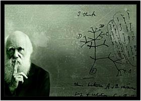 Quadro Decorativo Celebridades Charles Darwin Biologia Naturalista Com Moldura RC012