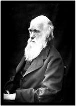 Quadro Decorativo Celebridades Charles Darwin Biologia Naturalista Com Moldura RC014