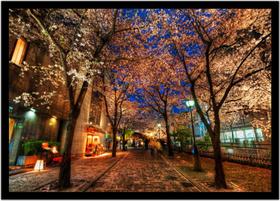 Quadro Decorativo Cidades Quioto Japão Paisagem Quartos Salas Com Moldura RC077